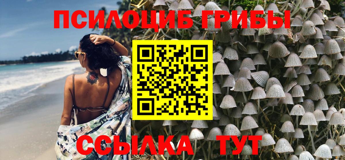 наркотики  Вход с VPN  Боровичи  Галлюциногенные грибы MAGIC MUSHROOMS 